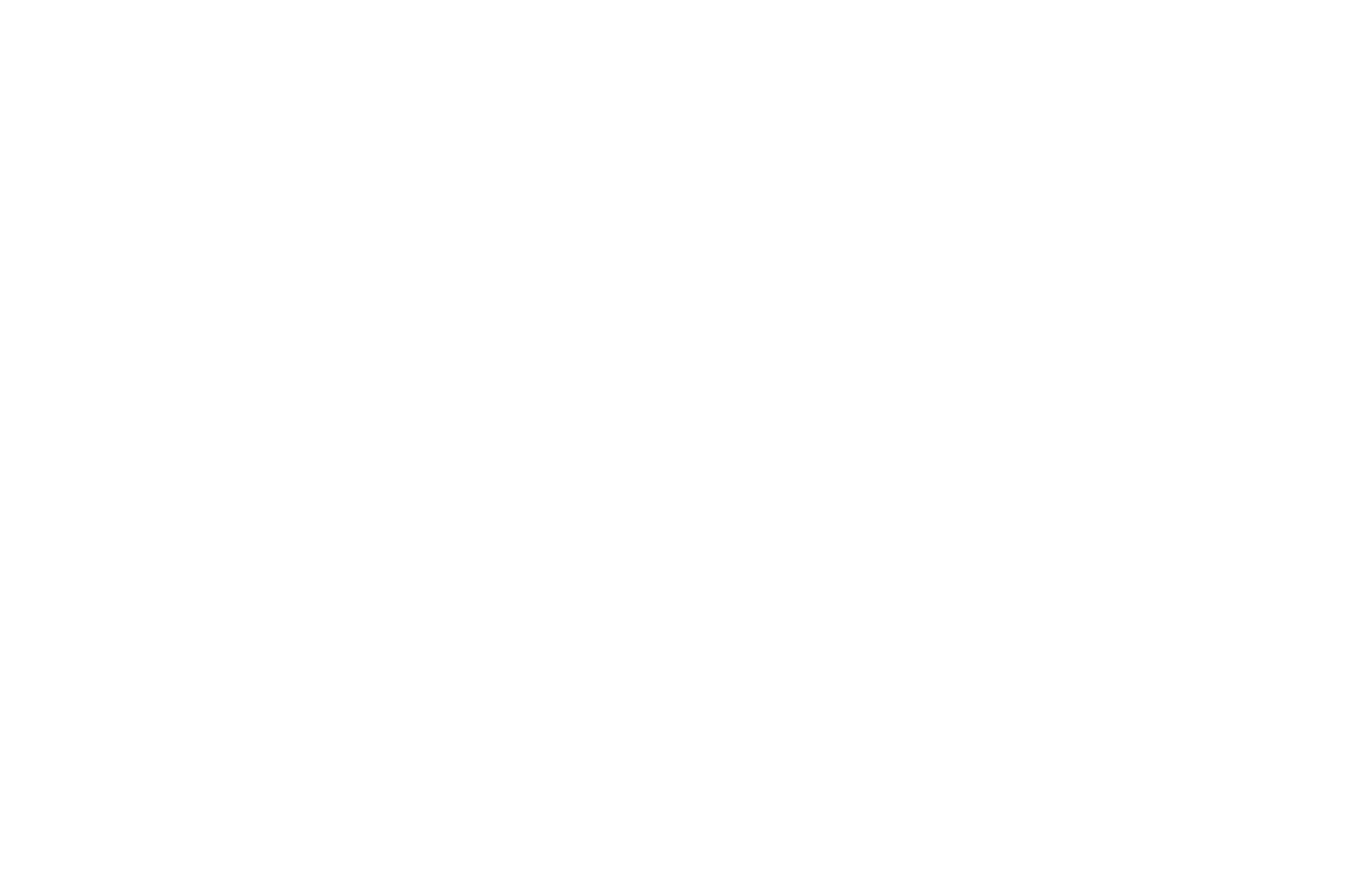 RESPONSIBLE BUISNESS ROADMAP 2030 — Farmers of the ocean & land